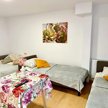 Apartament Nr 1 Lub 2 Przy Sali Kominkowej Przeczyce Exterior photo