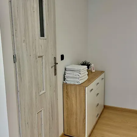 Apartament Nr 1 Lub 2 Przy Sali Kominkowej Przeczyce Exterior photo