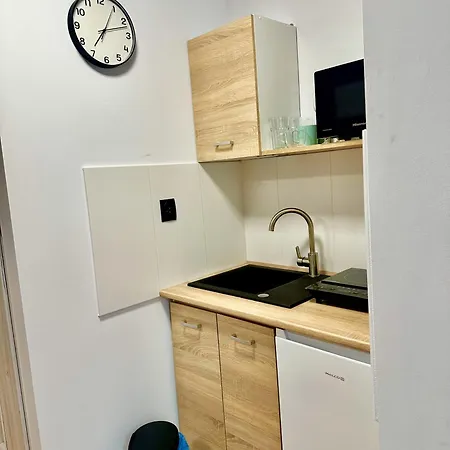 Apartament Nr 1 Lub 2 Przy Sali Kominkowej Przeczyce Exterior photo