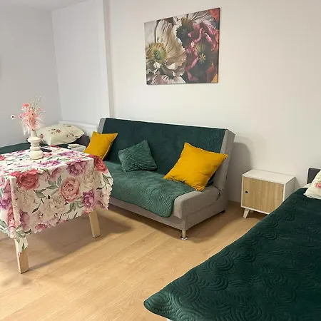 Apartament Nr 1 Lub 2 Przy Sali Kominkowej Przeczyce Exterior photo